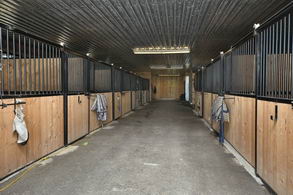 Stables - Country homes for sale and luxury real estate including horse farms and property in the Caledon and King City areas near Toronto